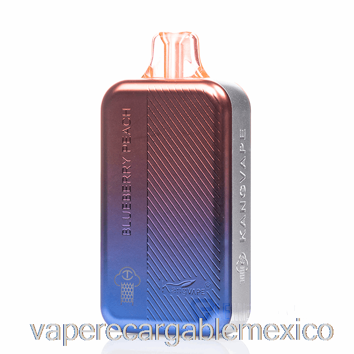 Vape Recargable Kangvape Tc8000 Desechable Arándano Melocotón
